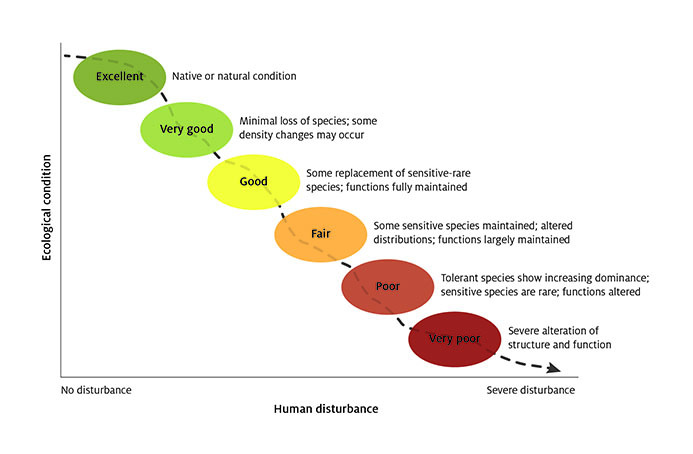 Graph showing a negative correlation between ecological condition and level of human disturbance.