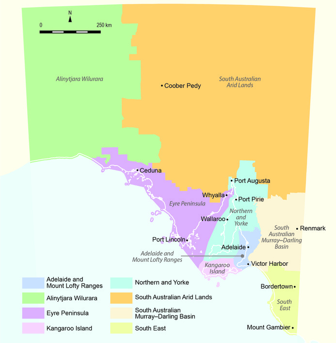 A map of South Australia is divided into eight natural resource management regions; in order of descending size they are South Australian Arid Lands, Alinytjara Wilurara, Eyre Peninsula, Northern and Yorke, South Australian Murray–Darling Basin, South East, Adelaide and Mount Lofty Ranges, and Kangaroo Island. South Australian Arid Lands lies in the central and north-eastern region of the state; it is bordered to the west by Alinytjara Wilurara. South of both regions lies the Eyre Peninsula; east of it is Northern and Yorke; further east is the Adelaide and Mount Lofty Ranges; then further east is the South Australian Murray–Darling Basin. South East lies to the south-east of South Australia and is due south of South Australian Murray–Darling Basin. Kangaroo Island is due south of Northern and Yorke. Major towns and cities of the regions are also marked. Coober Pedy lies in the central west of South Australian Arid Lands. Ceduna lies in the north-west of Eyre Peninsula, with Port Lincoln towards its south and Whyalla in its north-east. Port Augusta and Port Pirie lie in the northern part of Northern and Yorke, with Wallaroo in the middle of the region. In Adelaide and Mount Lofty Ranges, Adelaide lies in the middle, and Victor Harbor lies in the south. At the east edge of South Australian Murray–Darling Basin lies Renmark. In the South East, Bordertown lies in the central north and Mount Gambier in the south.