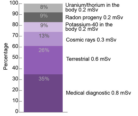 Graph comparing the average annual ionising radiation dose per person showing that natural radiation sources contribute around 65% of the dose with the remaining 35% coming from medical sources.