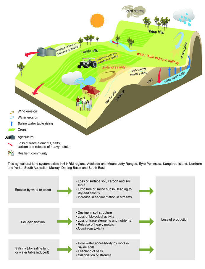 Conceptual model of soil processes and pressures, including erosion (by wind or water), soil acidification and salinity. These pressures result in a loss of production. Lime and clay are added to the land to try to counterbalance the pressures.