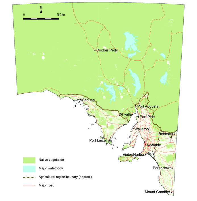 Map of native vegetation extent in South Australia, showing the presence of native vegetation over most of rural South Australia with significantly less cover in the Greater Adelaide, Eyre Peninsula and the South East.