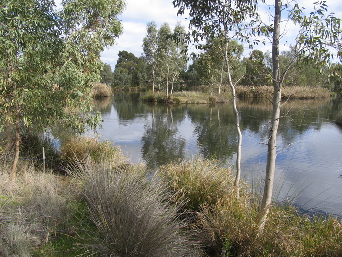 The%20Urbrae%20Wetlands.JPG